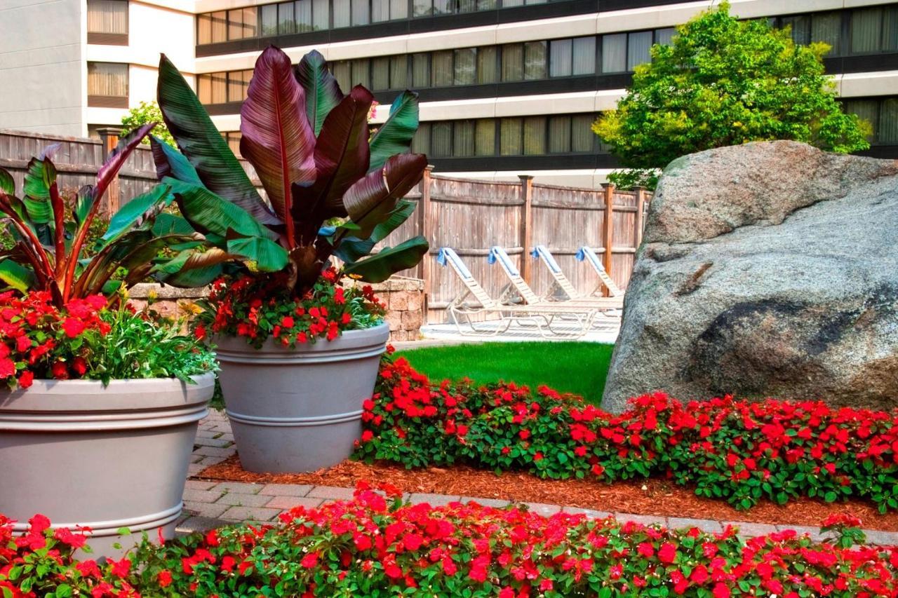 Boston Marriott Peabody Hotel Tiện nghi bức ảnh